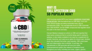 CBD Gummies Market Size to Hit USD 19 93 billion by 2033